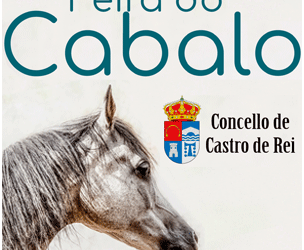 Feira do Cabalo, 7 de Setembro 2019